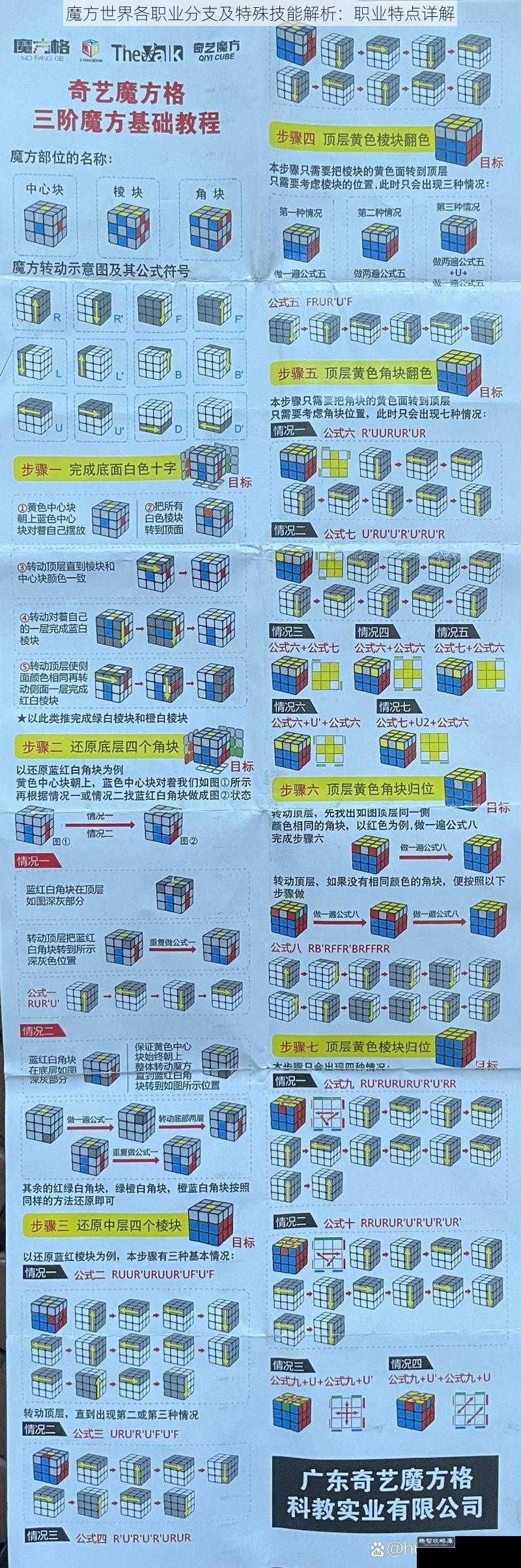 魔方世界各职业分支及特殊技能解析：职业特点详解