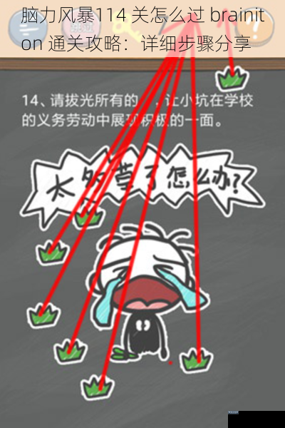 脑力风暴114 关怎么过 brainiton 通关攻略：详细步骤分享