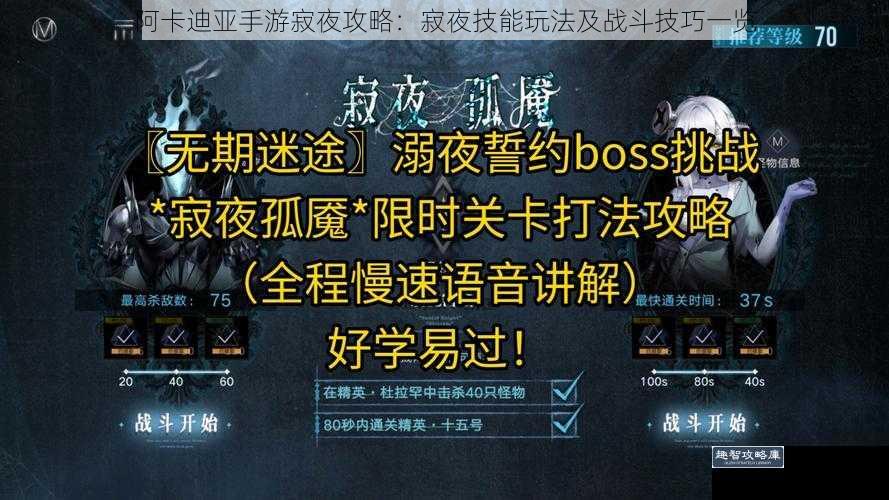 阿卡迪亚手游寂夜攻略：寂夜技能玩法及战斗技巧一览