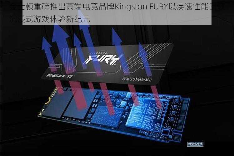金士顿重磅推出高端电竞品牌Kingston FURY以疾速性能引领沉浸式游戏体验新纪元